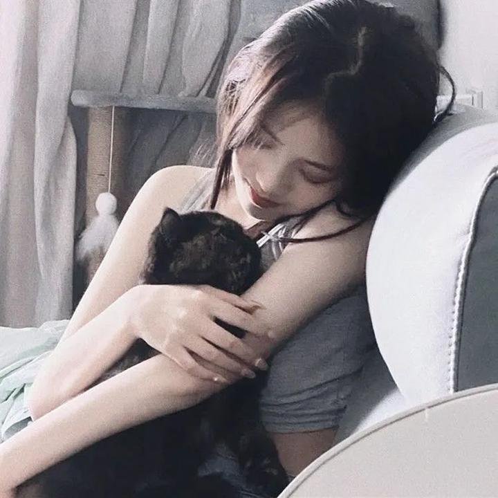 船只 在线观看